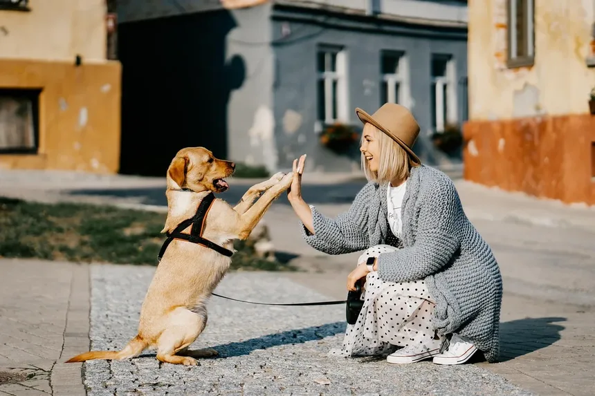 Como Parar um Cachorro de Latir à Noite?