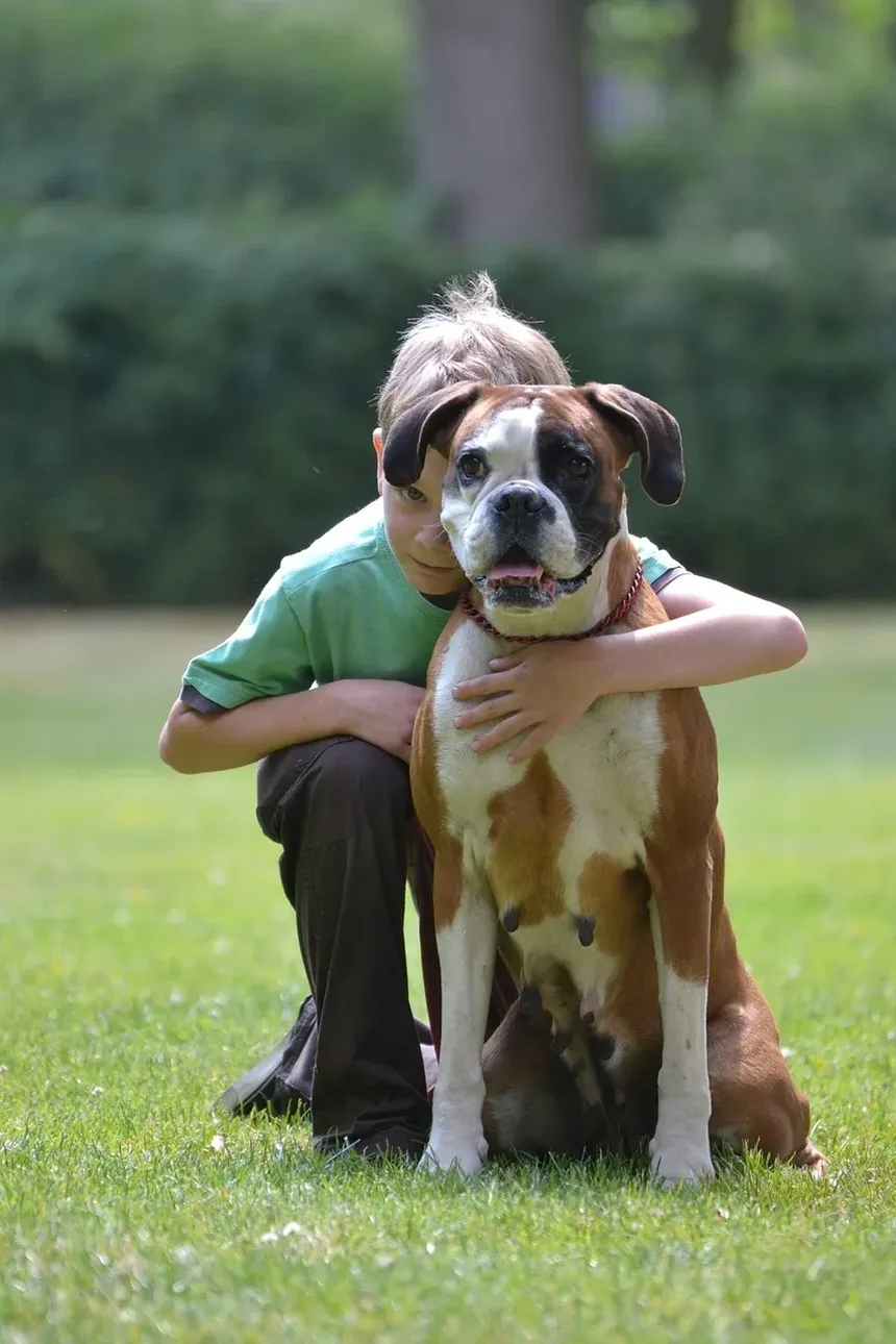 Qual é a Melhor Escova de Higiene para Cães?